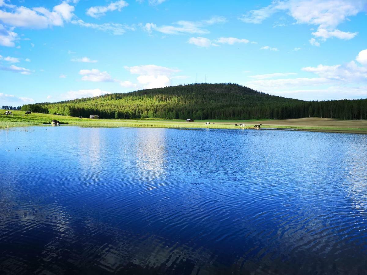 Вілла Skatauddens Lantgard Alvsbyn Екстер'єр фото