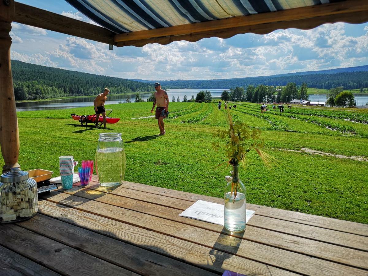 Вілла Skatauddens Lantgard Alvsbyn Екстер'єр фото